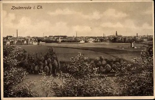 Ak Zeulenroda in Thüringen, Blick auf den Ort