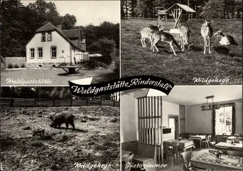 Ak Hann. Münden in Niedersachsen, Waldgaststätte-Pension Rinderstall, Wildgehege, Gästezimmer