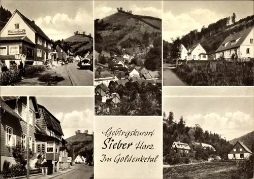 Ak Sieber Herzberg am Harz, Goldenketal, Restaurant Zum wilden Jäger, Panorama vom Ort