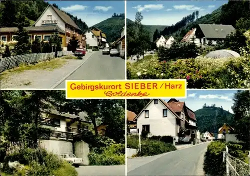 Ak Sieber Herzberg am Harz, Goldenketal, Restaurant Zum wilden Jäger, Panorama vom Ort