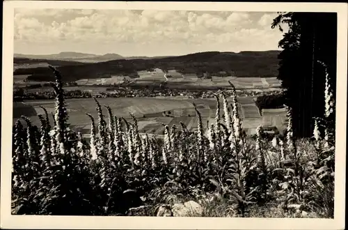Foto Ak Wilthen in der Oberlausitz, Gesamtansicht