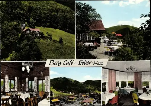 Ak Sieber Herzberg am Harz, Berg Cafe, Terrasse, Innenansicht