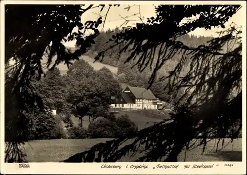 Ak Lichtenberg im Erzgebirge, Blick auf Forstgasthof zur Schwingerei, Hahn 12593
