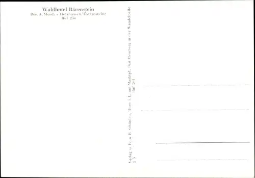 Ak Holzhausen Externsteine Horn Bad Meinberg am Teutoburger Wald, Waldhotel Bärenstein