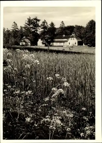 Ak Malente in Ostholstein, Wiesenhof am Kellersee