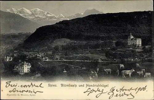 Ak Spiez am Thuner See Kanton Bern, Blümlisalp und Hondrichhügel
