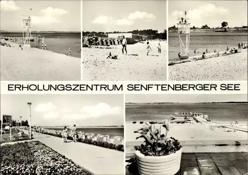 Ak  Senftenberg, Erholungszentrum Senftenberger See, Freibad