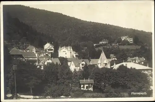 Foto Ak Bad Herrenalb im Schwarzwald, Teilansicht