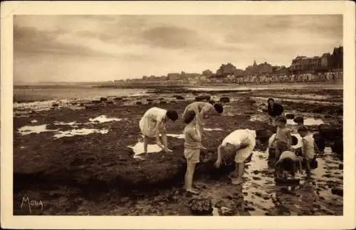 Ak Lion sur Mer Calvados, sur les rochers, à marée basse, Muschelsucher