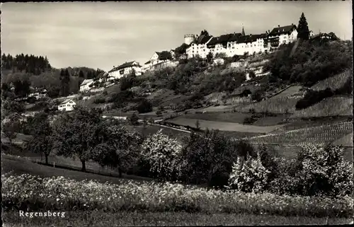 Ak Regensberg Kanton Zürich Schweiz, Landschaft, Ortsansicht