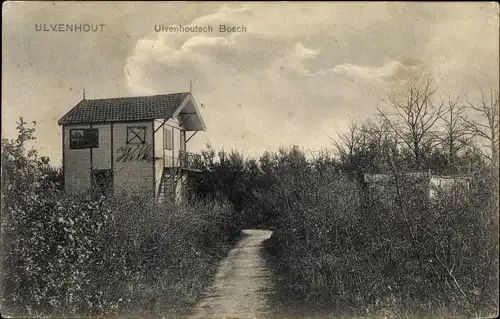 Ak Ulvenhout Nordbrabant Niederlande, Ulvenhoutsch Bosch