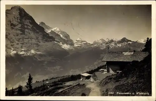 Ak Grindelwald Kanton Bern, Waldspitz, Panorama