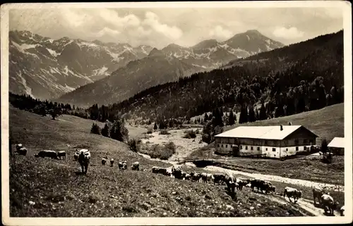 Ak Bad Hindelang im Oberallgäu, Nebelhorngruppe, Sennalpe