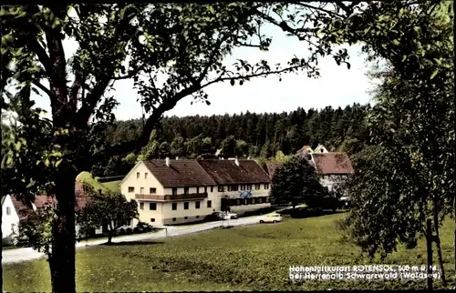 Ak Rotensol Bad Herrenalb im Schwarzwald, Pension Lamm