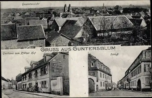 Ak Guntersblum am Rhein, Totalansicht der Ortschaft, Schloss, Gasthaus zum Pfälzer Hof