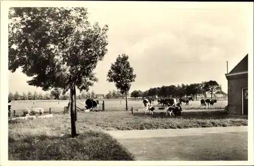 Ak Enschot Nordbrabant, Cistercienzer Abdij O. L. V. v. Koningsoord, Boerderij en weiden