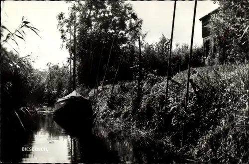 Ak Nordbrabant Niederlande, Nationalpark Biesbosch, Flusspartie, Boot