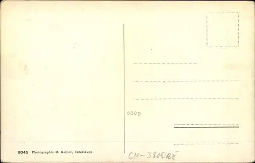 Ak Interlaken Kanton Bern Schweiz, Regina Hotel Jungfraublick, Jungfrau