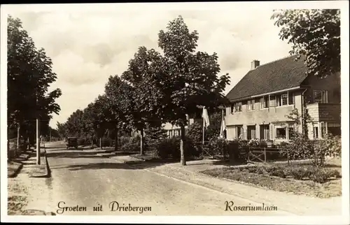 Ak Driebergen Utrecht Niederlande, Rosariumlaan