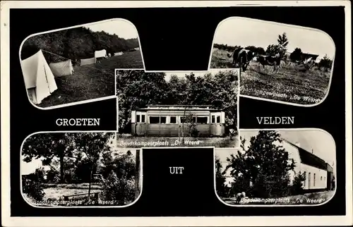 Ak Velden Limburg Niederlande, Bondskampeerplats De Weerd