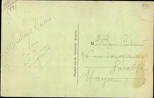 Ak Gennes les Rosiers Maine et Loire, Vue panoramique sur la Loire