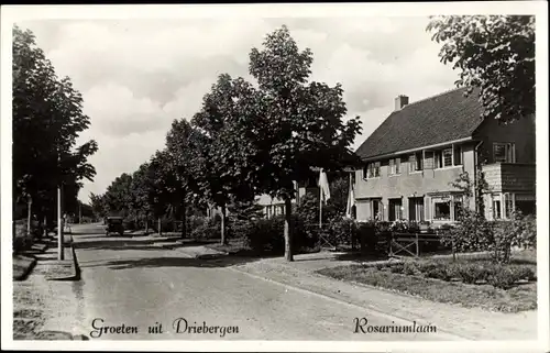 Ak Driebergen Utrecht Niederlande, Rosariumlaan