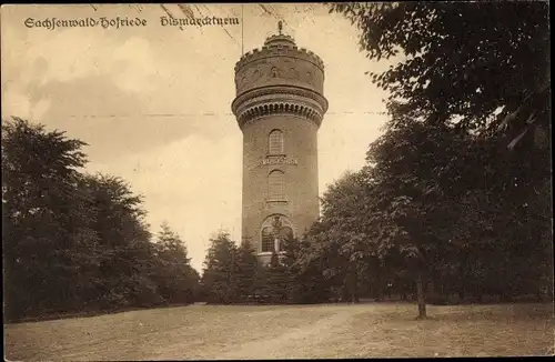 Ak Sachsenwald Hofriede Aumühle im Herzogtum Lauenburg, Bismarckturm