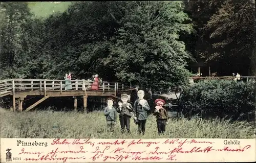 Ak Pinneberg, Gehölz , Brücke