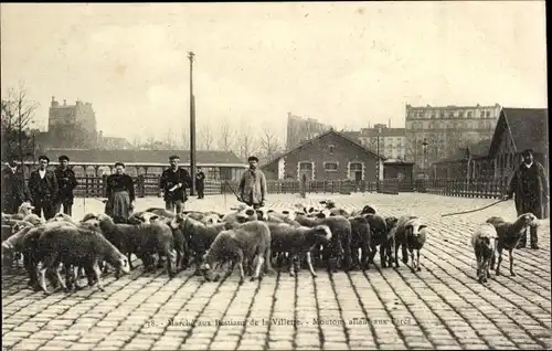 Ak Paris XIX., Marche aus Bestiaux de la Villette, Moutons