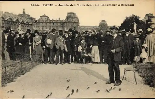 Ak Paris Frankreich, Charmeur d'Oiseaux aux Tuileries, Jardin des Tuileries