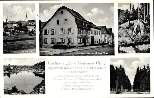 Ak Argenthal im Hunsrück, Gasthof Zum Goldenen Pflug, Teilansicht, Waldsee, Rotwild, Waldeingang