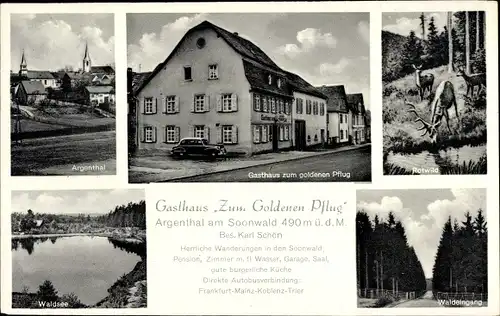 Ak Argenthal im Hunsrück, Gasthof Zum Goldenen Pflug, Teilansicht, Waldsee, Rotwild