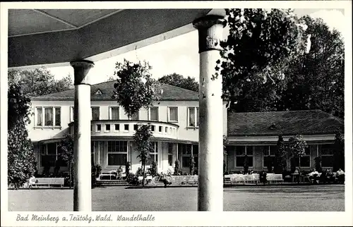 Ak Bad Meinberg am Teutoburger Wald, Wandelhalle