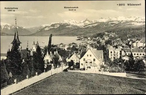 Ak Wädenswil Kanton Zürich, Ortsansicht, Panorama mit Schäniserberg und Mürtschenstock