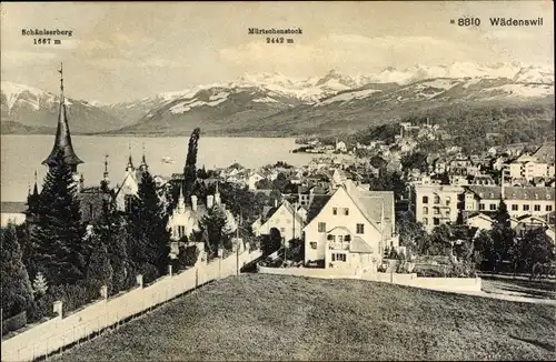 Ak Wädenswil Kanton Zürich, Ortsansicht, Panorama mit Schäniserberg und Mürtschenstock