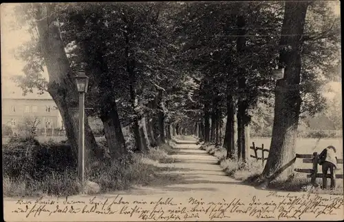 Ak Hamburg Groß Borstel, Allee