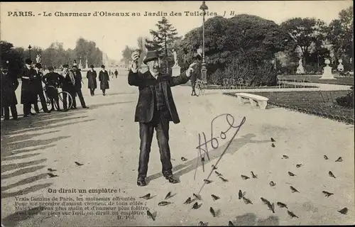 Ak Paris Frankreich, Charmeur d'Oiseaux aux Tuileries, Jardin des Tuileries