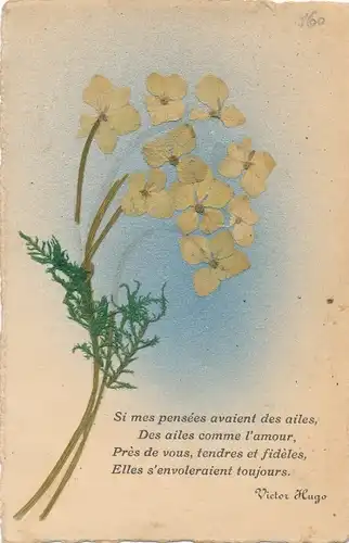 Stoff Ak Pflante aus Stoff, Zitat von Victor Hugo, Si mes pensees avaient des ailes...