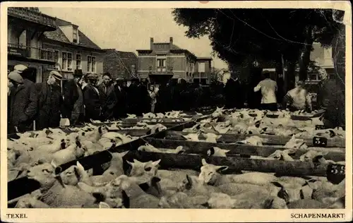 Ak Den Burg Texel Nordholland, Schapenmarkt