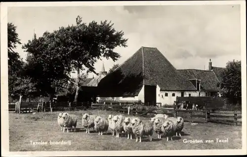 Ak Texel Nordholland, Texelse boerderij