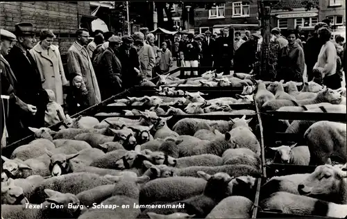 Ak Den Burg Texel Nordholland Niederlande, Schap en Lammerenmarkt