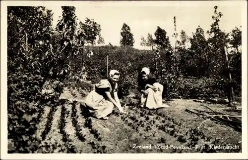 Ak Zuid Beveland Zeeland Niederlande, Klederdracht, Gartenarbeit