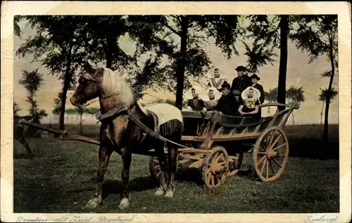 Ak Zuid Beveland Zeeland Niederlande, Familie in Tracht, Pferd, Fuhrwerk