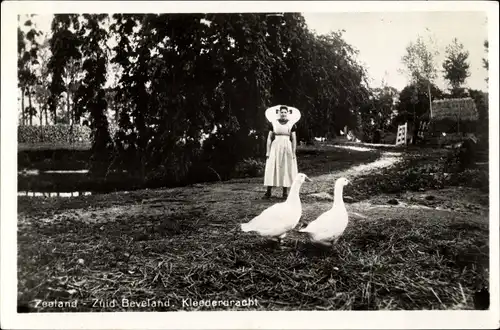 Ak Zuid Beveland Zeeland Niederlande, Klederdracht, Niederländische Tracht