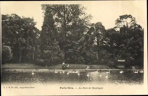 Ak Paris VXI., Au Bois de Boulogne, Schwäne, Kinderwagen