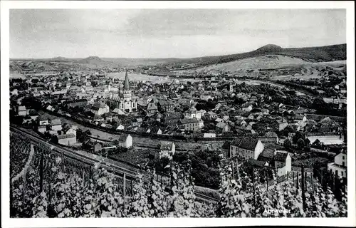 Ak Bad Neuenahr Ahrweiler in Rheinland Pfalz, Blick ins Ahrtal, Weinberg