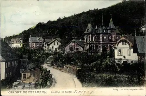 Ak Bad Bergzabern Rheinland Pfalz, Eingang ins Kurtal