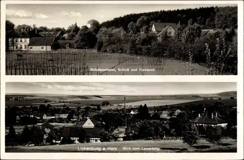 Ak Liebenburg am Harz, Schullandheim, Schloss, Forstamt, Ort vom Lewerberg gesehen