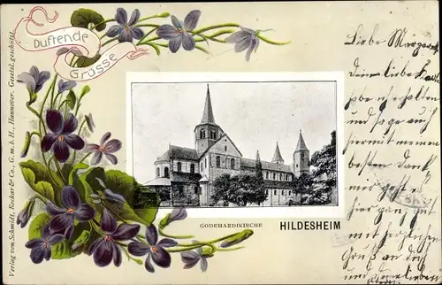 Passepartout Ak Hildesheim in Niedersachsen, Godehardikirche, Veilchen