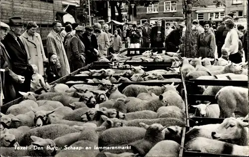 Ak Den Burg Texel Nordholland Niederlande, Schap en Lammerenmarkt